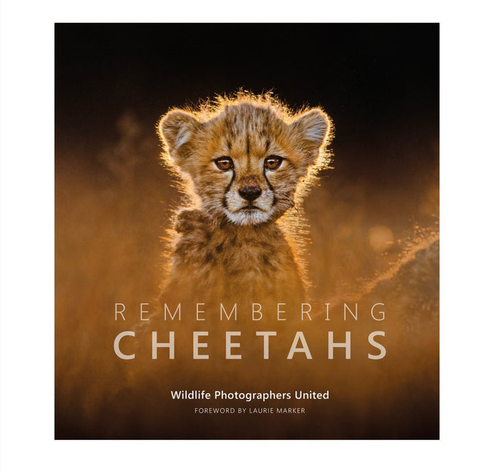 Remembering Cheetahs