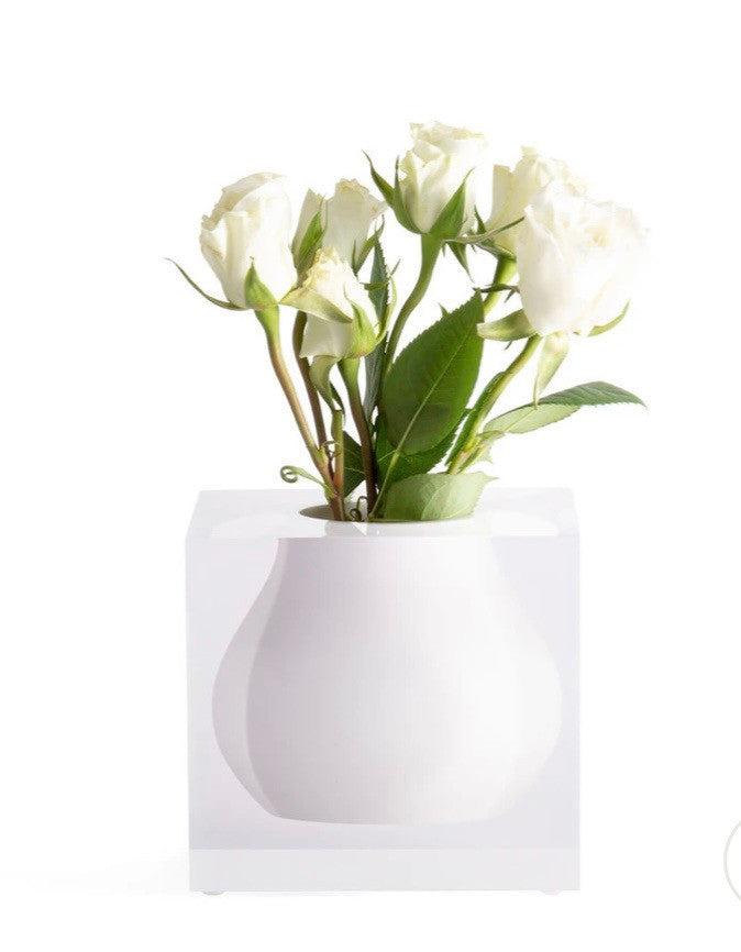 Mosco Acrylic  Vase- multiple colors